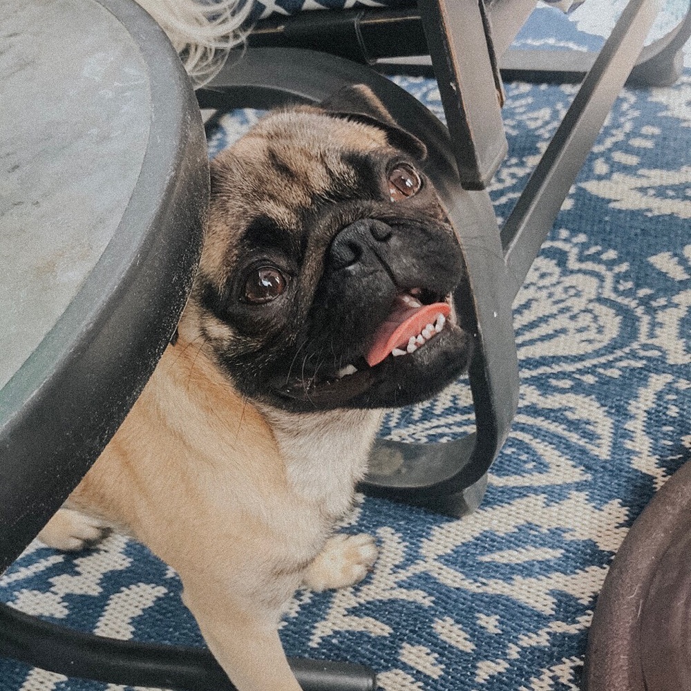 𝕨𝕖𝕝𝕔𝕠𝕞𝕖! - Picture 4 of 4